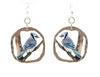 Blue Jay Earrings #1593