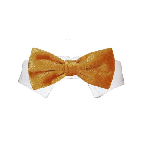 Valentino Bow Tie - Gold