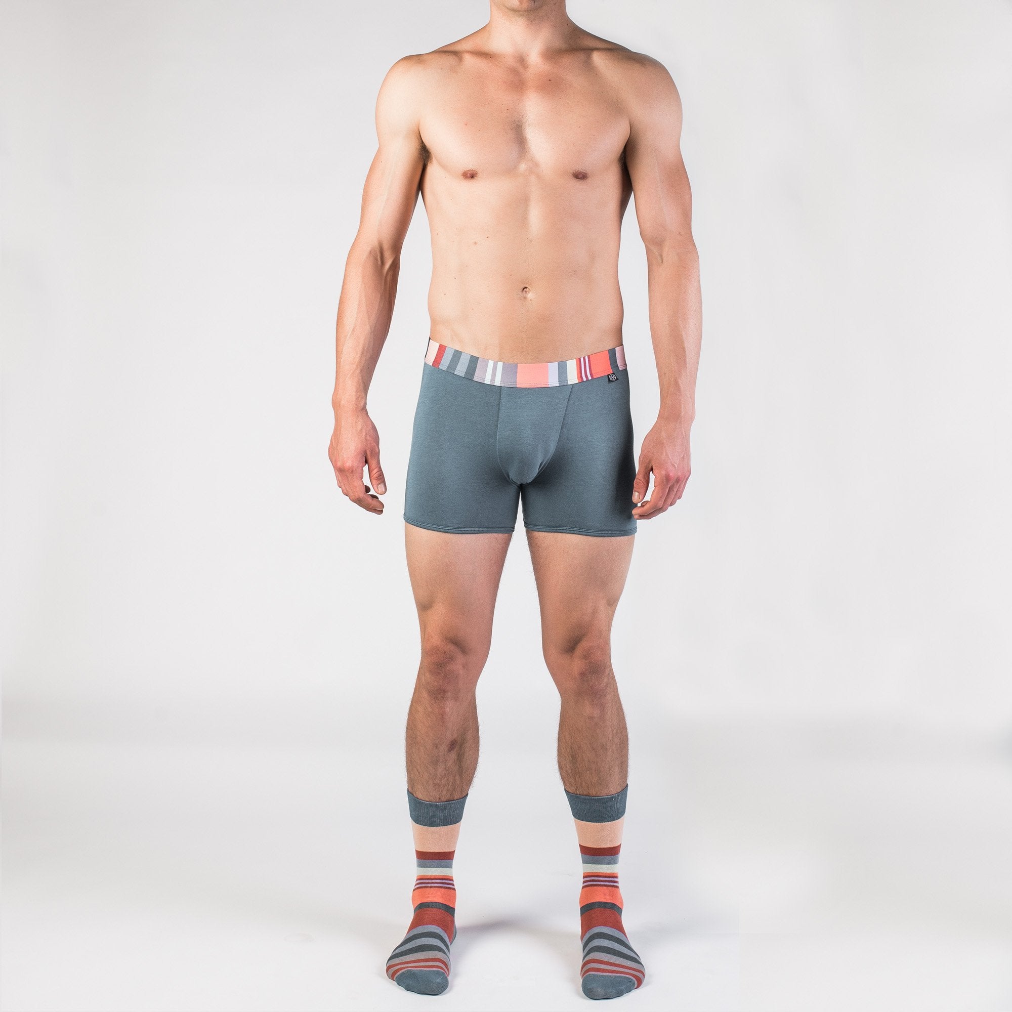 The Shield Boxer Brief